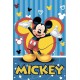 20105A5 Vafa Mickey Mouse 20x15cm